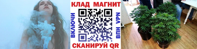 Купить наркотик аптеки Гудермес Марихуана  Меф мяу мяу  Псилоцибиновые грибы  мега рабочий сайт  COCAIN  Гашиш 