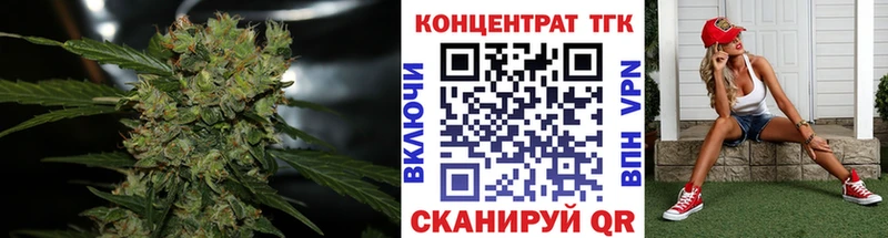 дарнет шоп Гудермес Дистиллят ТГК гашишное масло