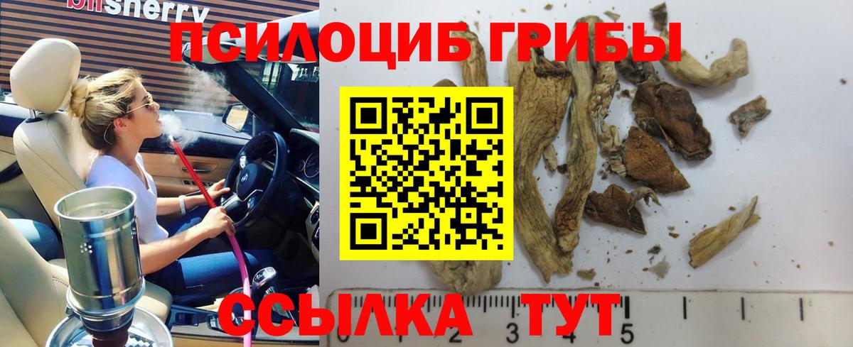 Псилоцибиновые грибы Psilocybine cubensis Гудермес